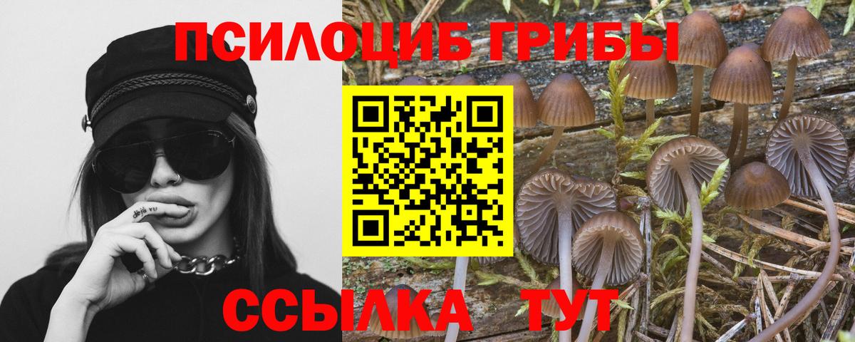 Галлюциногенные грибы прущие грибы  Псилоцибиновые грибы GOLDEN TEACHER  Вход с VPN  Кинель 