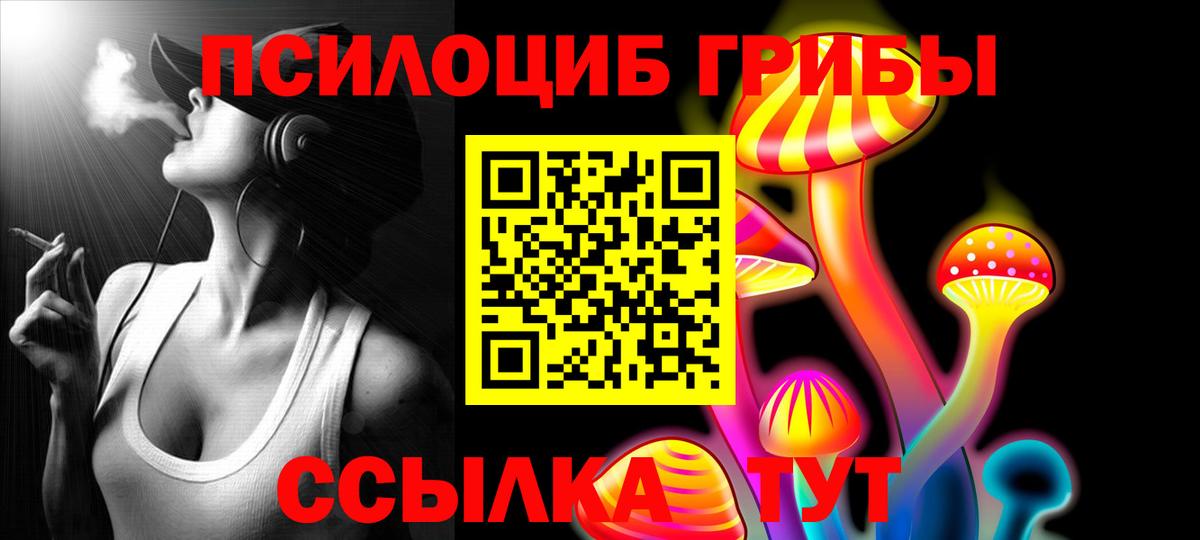 Псилоцибиновые грибы Psilocybine cubensis Кинель