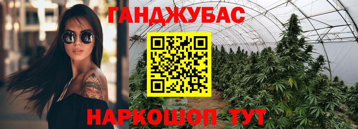 Бошки Шишки VHQ  Вход с VPN  Шишки марихуана планчик  Бошки марихуана Bruce Banner  Кинель 