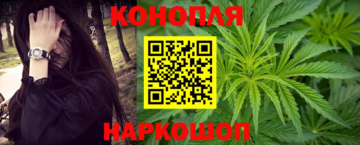 Шишки марихуана семена Кинель